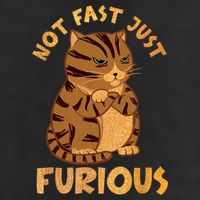 Not Fast Just Furious Funny Cute Grumpy Fat Cat Pet Lovers 11oz C Handle Ceramic Mug