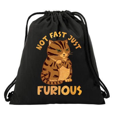 Not Fast Just Furious Funny Cute Grumpy Fat Cat Pet Lovers Drawstring Bag