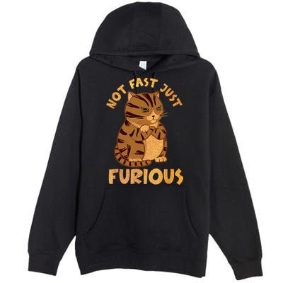 Not Fast Just Furious Funny Cute Grumpy Fat Cat Pet Lovers Premium Pullover Hoodie