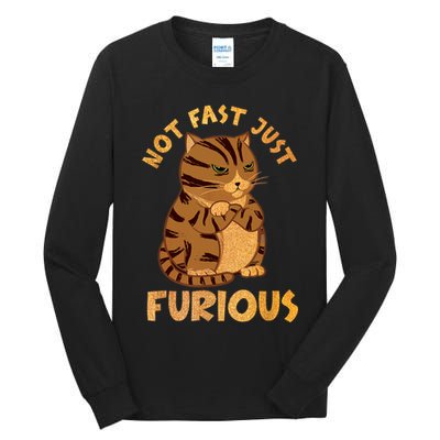 Not Fast Just Furious Funny Cute Grumpy Fat Cat Pet Lovers Tall Long Sleeve T-Shirt