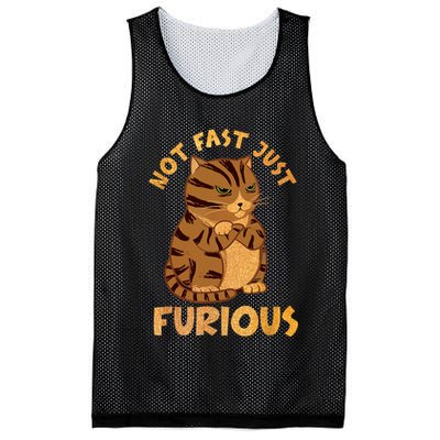 Not Fast Just Furious Funny Cute Grumpy Fat Cat Pet Lovers Mesh Reversible Basketball Jersey Tank
