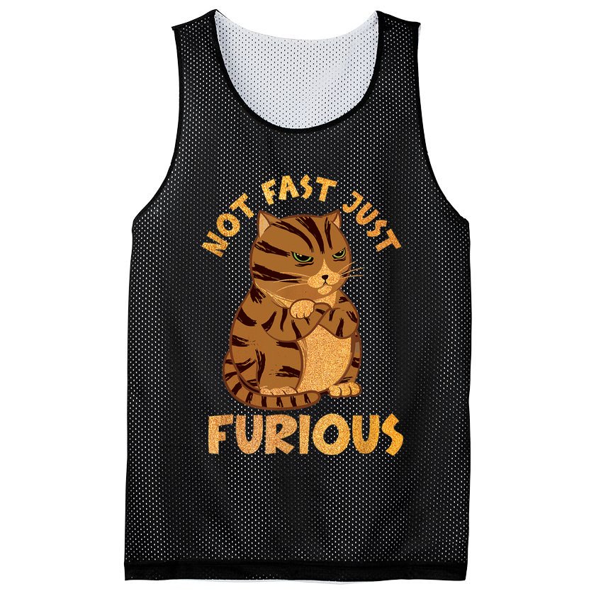 Not Fast Just Furious Funny Cute Grumpy Fat Cat Pet Lovers Mesh Reversible Basketball Jersey Tank