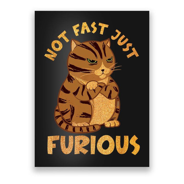Not Fast Just Furious Funny Cute Grumpy Fat Cat Pet Lovers Poster