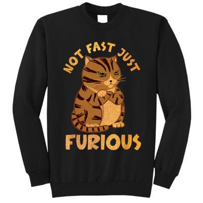 Not Fast Just Furious Funny Cute Grumpy Fat Cat Pet Lovers Tall Sweatshirt