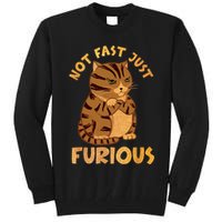 Not Fast Just Furious Funny Cute Grumpy Fat Cat Pet Lovers Tall Sweatshirt