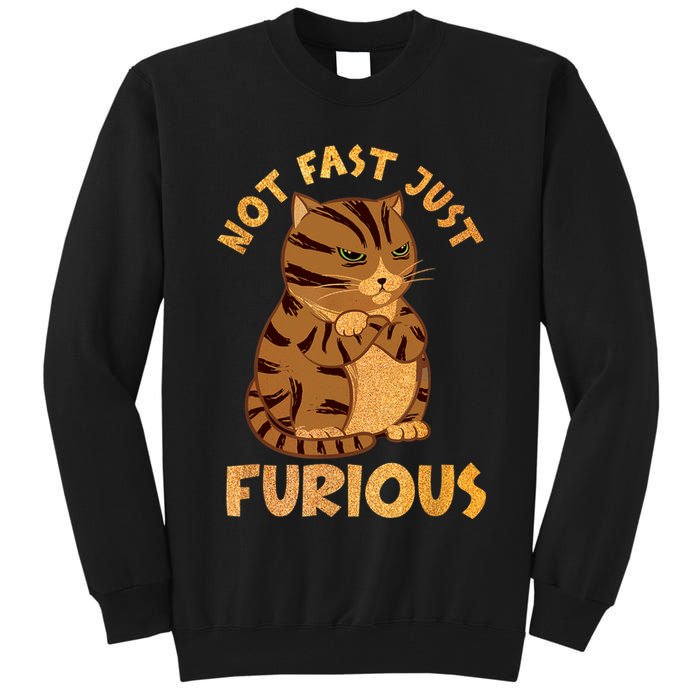 Not Fast Just Furious Funny Cute Grumpy Fat Cat Pet Lovers Tall Sweatshirt