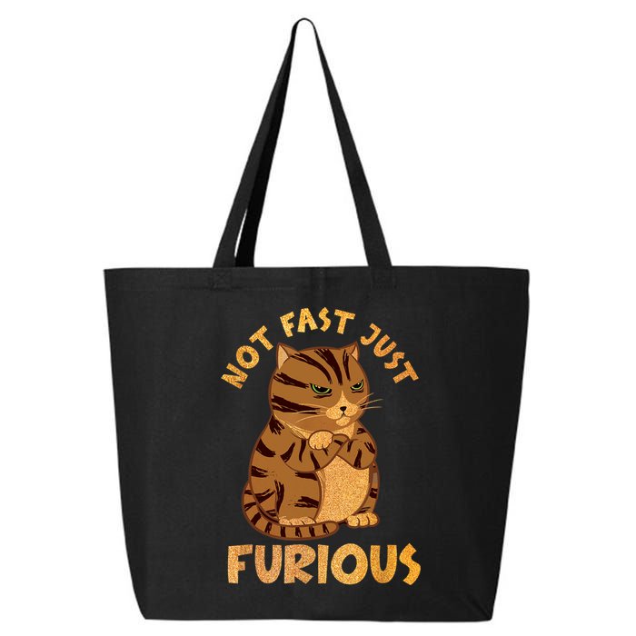 Not Fast Just Furious Funny Cute Grumpy Fat Cat Pet Lovers 25L Jumbo Tote