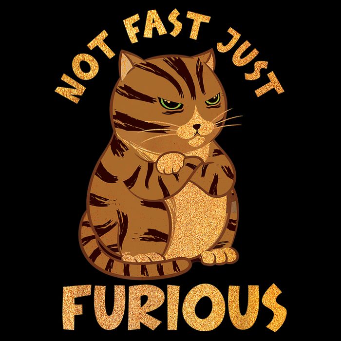 Not Fast Just Furious Funny Cute Grumpy Fat Cat Pet Lovers Pom Pom 12in Knit Beanie