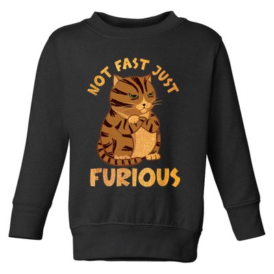Not Fast Just Furious Funny Cute Grumpy Fat Cat Pet Lovers Toddler Sweatshirt