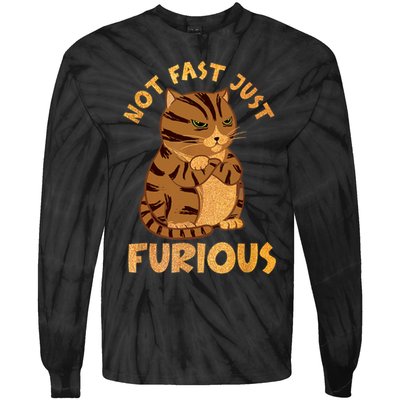 Not Fast Just Furious Funny Cute Grumpy Fat Cat Pet Lovers Tie-Dye Long Sleeve Shirt