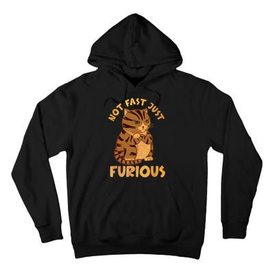 Not Fast Just Furious Funny Cute Grumpy Fat Cat Pet Lovers Tall Hoodie