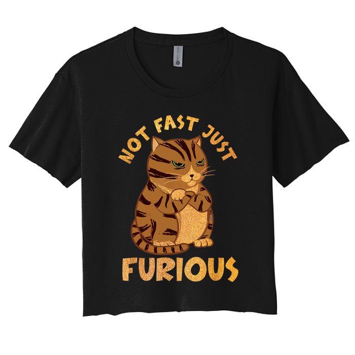Not Fast Just Furious Funny Cute Grumpy Fat Cat Pet Lovers Crop Top