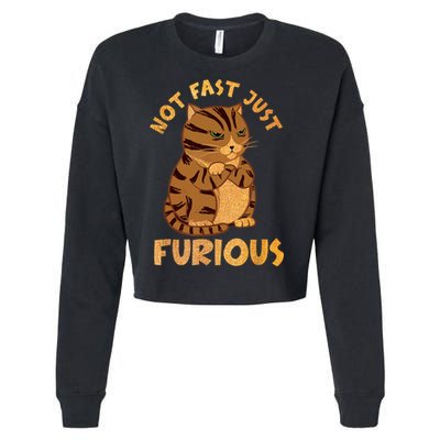 Not Fast Just Furious Funny Cute Grumpy Fat Cat Pet Lovers Cropped Pullover Crew
