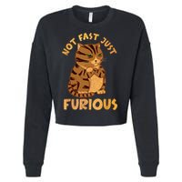 Not Fast Just Furious Funny Cute Grumpy Fat Cat Pet Lovers Cropped Pullover Crew