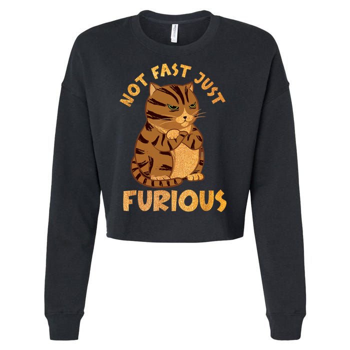 Not Fast Just Furious Funny Cute Grumpy Fat Cat Pet Lovers Cropped Pullover Crew