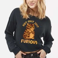 Not Fast Just Furious Funny Cute Grumpy Fat Cat Pet Lovers Cropped Pullover Crew