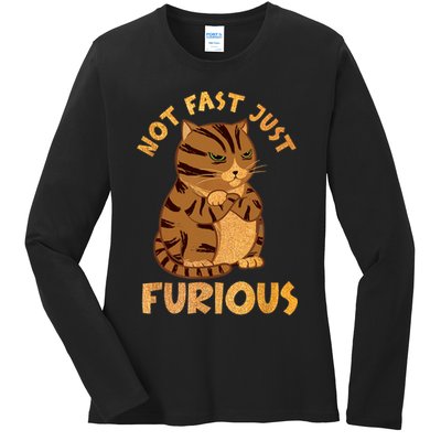 Not Fast Just Furious Funny Cute Grumpy Fat Cat Pet Lovers Ladies Long Sleeve Shirt