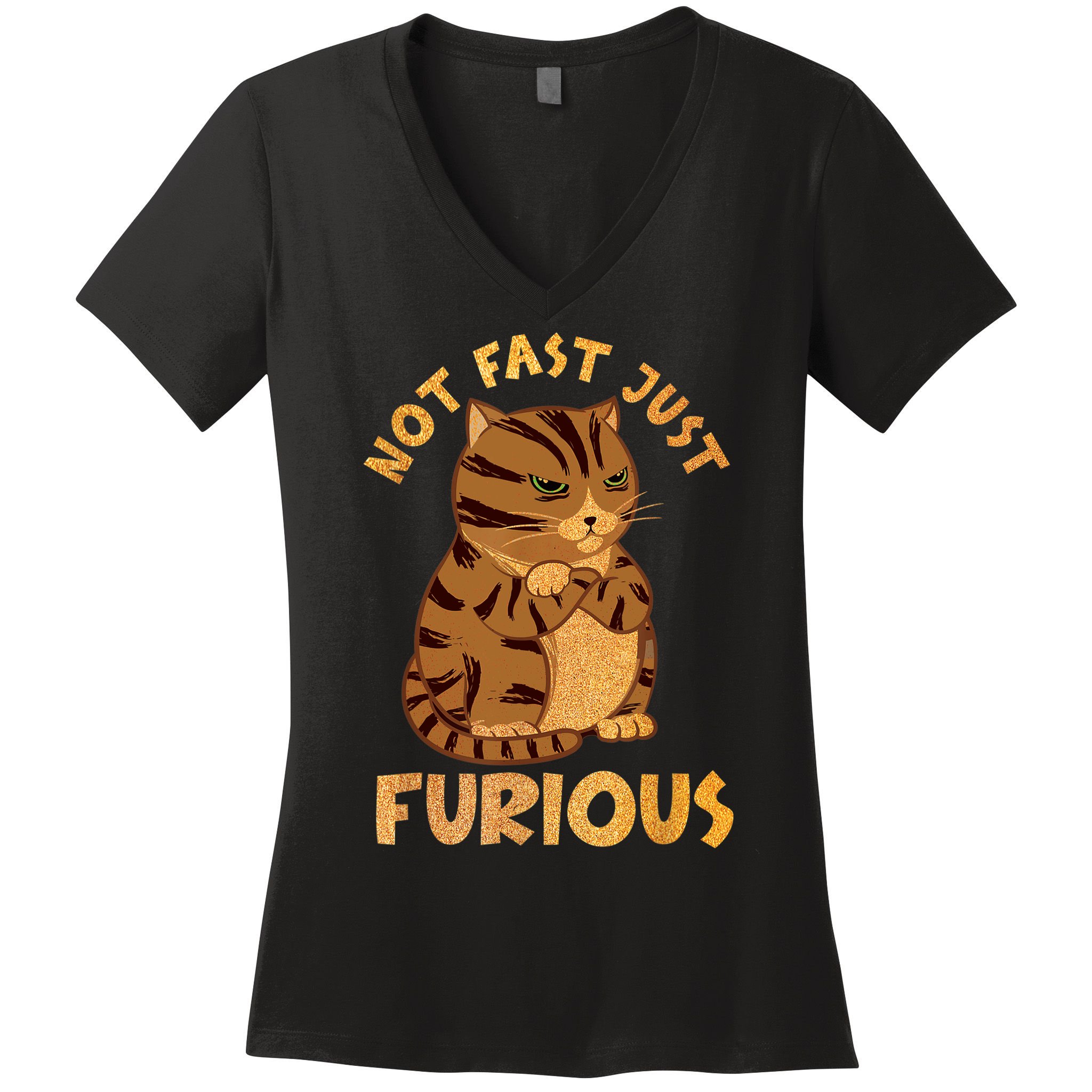 Not Fast Just Furious Funny Cute Grumpy Fat Cat Pet Lovers Women's V-Neck T-Shirt