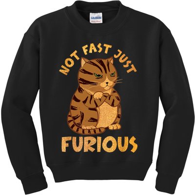 Not Fast Just Furious Funny Cute Grumpy Fat Cat Pet Lovers Kids Sweatshirt