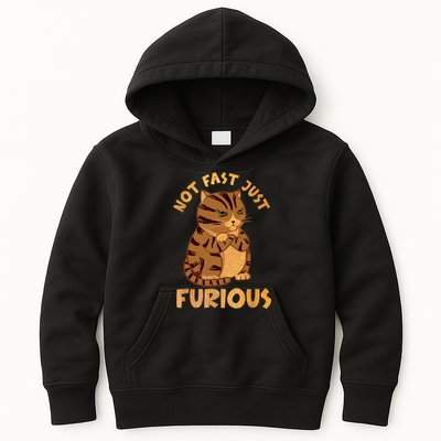 Not Fast Just Furious Funny Cute Grumpy Fat Cat Pet Lovers Kids Hoodie