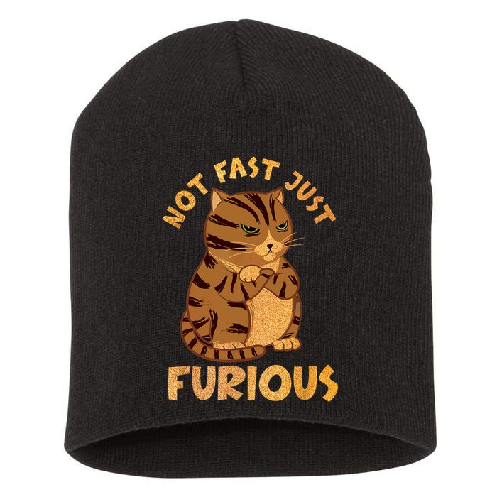 Not Fast Just Furious Funny Cute Grumpy Fat Cat Pet Lovers Short Acrylic Beanie