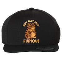 Not Fast Just Furious Funny Cute Grumpy Fat Cat Pet Lovers Wool Snapback Cap
