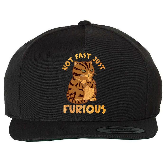 Not Fast Just Furious Funny Cute Grumpy Fat Cat Pet Lovers Wool Snapback Cap