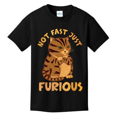 Not Fast Just Furious Funny Cute Grumpy Fat Cat Pet Lovers Kids T-Shirt