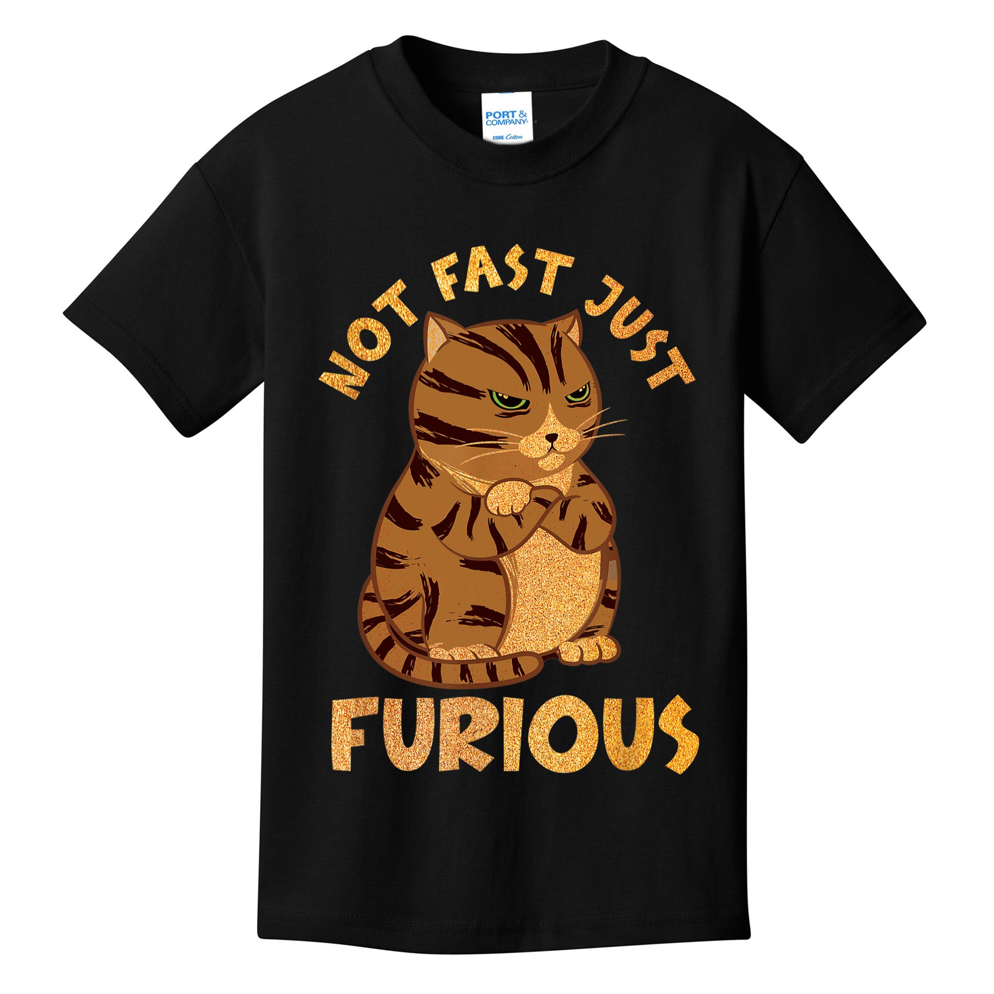 Not Fast Just Furious Funny Cute Grumpy Fat Cat Pet Lovers Kids T-Shirt