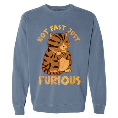 Not Fast Just Furious Funny Cute Grumpy Fat Cat Pet Lovers Garment-Dyed Sweatshirt