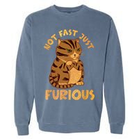 Not Fast Just Furious Funny Cute Grumpy Fat Cat Pet Lovers Garment-Dyed Sweatshirt