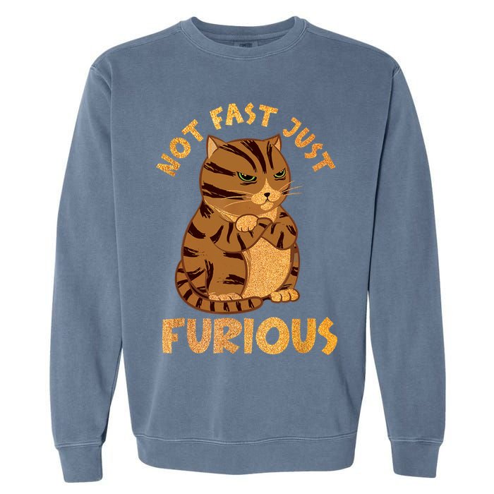 Not Fast Just Furious Funny Cute Grumpy Fat Cat Pet Lovers Garment-Dyed Sweatshirt
