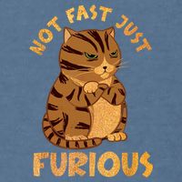Not Fast Just Furious Funny Cute Grumpy Fat Cat Pet Lovers Garment-Dyed Sweatshirt