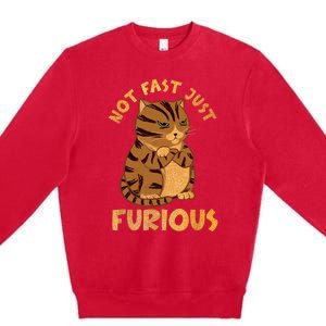 Not Fast Just Furious Funny Cute Grumpy Fat Cat Pet Lovers Premium Crewneck Sweatshirt