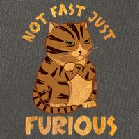 Not Fast Just Furious Funny Cute Grumpy Fat Cat Pet Lovers Cotton Canvas Backpack
