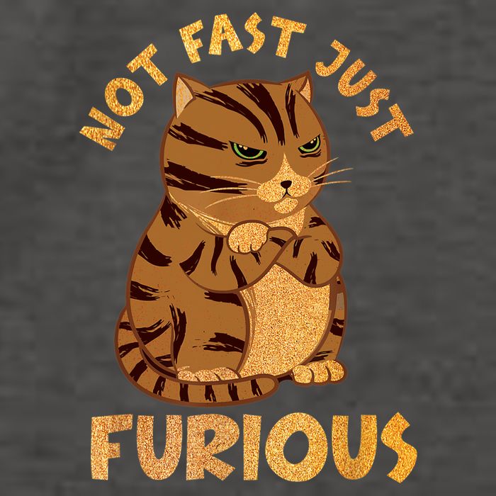 Not Fast Just Furious Funny Cute Grumpy Fat Cat Pet Lovers Vector Backpack