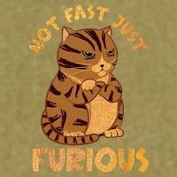 Not Fast Just Furious Funny Cute Grumpy Fat Cat Pet Lovers Garment-Dyed Women's Muscle Tee