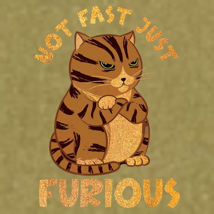 Not Fast Just Furious Funny Cute Grumpy Fat Cat Pet Lovers Garment-Dyed Women's Muscle Tee