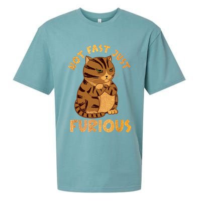 Not Fast Just Furious Funny Cute Grumpy Fat Cat Pet Lovers Sueded Cloud Jersey T-Shirt