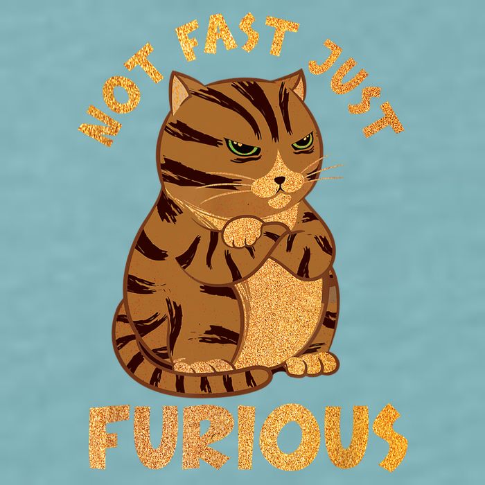 Not Fast Just Furious Funny Cute Grumpy Fat Cat Pet Lovers Sueded Cloud Jersey T-Shirt