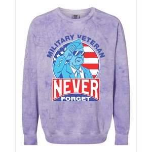 Never Forget Military Veteran Armed Forces Dad Mom Meaningful Gift Colorblast Crewneck Sweatshirt