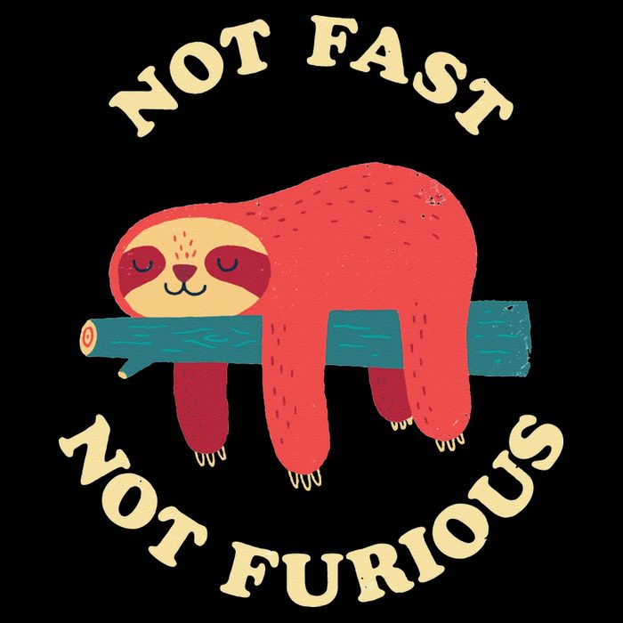 Not Fast Not Furious Backpack