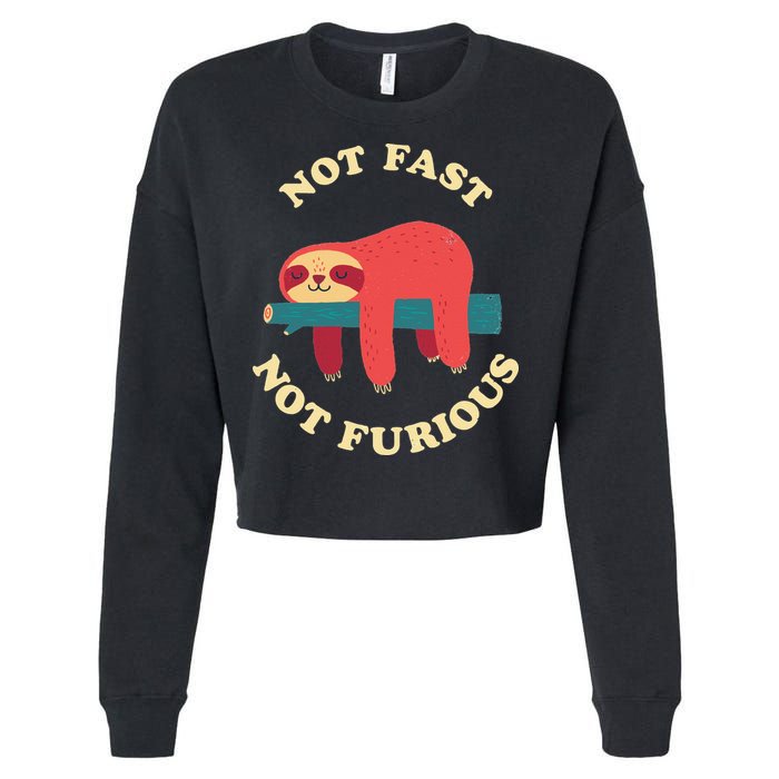 Not Fast Not Furious Cropped Pullover Crew