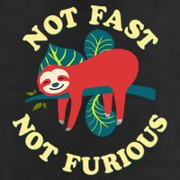 Not Fast Not Furious Cute Sloth Funny Trending Memes 11oz C Handle Ceramic Mug