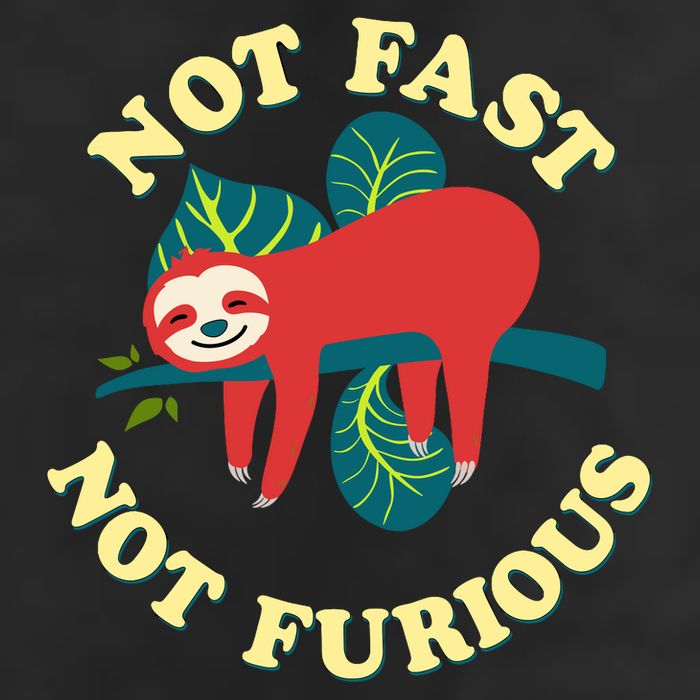 Not Fast Not Furious Cute Sloth Funny Trending Memes Microfiber Hand Towel