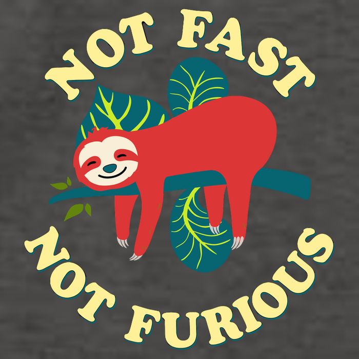 Not Fast Not Furious Cute Sloth Funny Trending Memes Vector Backpack