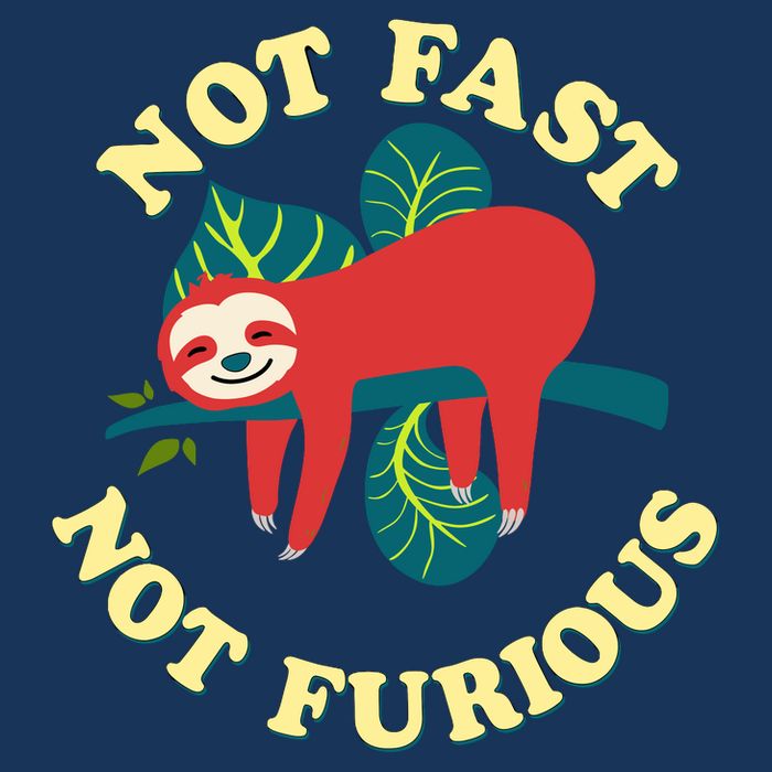 Not Fast Not Furious Cute Sloth Funny Trending Memes Button