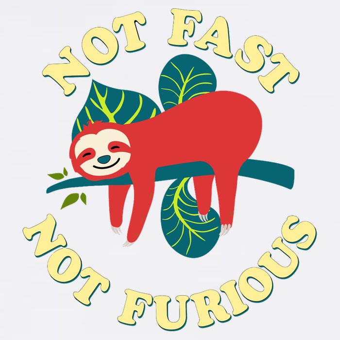 Not Fast Not Furious Cute Sloth Funny Trending Memes Garment-Dyed Sweatshirt