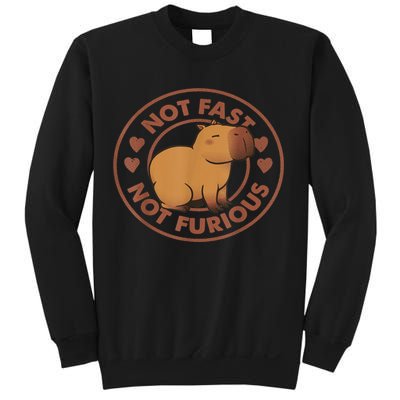 Not Fast Not Furious Capybara Sweatshirt