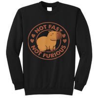 Not Fast Not Furious Capybara Sweatshirt